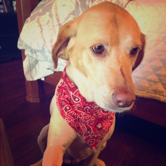 Meet your Posher, Emily - Picture 1 of 1